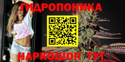 стафф Ставрополь