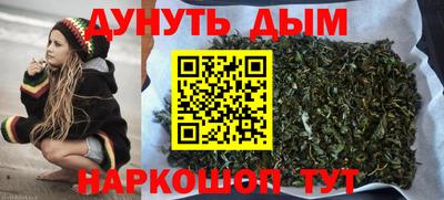 стафф Ставрополь