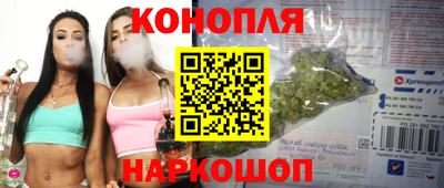 стафф Ставрополь
