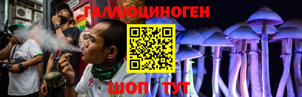 Галлюциногенные грибы прущие грибы Нижнекамск